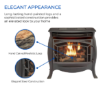 Dual Fuel Ventless Gas Stove – 26,000 BTU, Remote Control, Matte Black Finish - Image 2