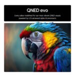 LG 55QNED85A6C 55" 4K QNED evo TV - Image 3