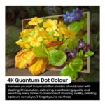 Hisense 55S7NQTUK 55" Canvas 4K TV - Image 6