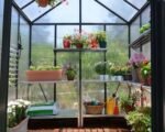 Canopia by Palram Glory 8 ft. x 8 ft. Greenhouse Kit – Grey Structure & Frost Multi Wall Panels - Image 4