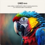 LG 115QNED93B6 115" 4K QNED evo MiniLED AI TV - Image 7