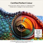 LG OLED65G66LS 65" 4K OLED evo TV - Image 3