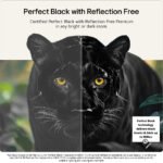 LG OLED65G66LS 65" 4K OLED evo TV - Image 8